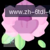 6T体育 logo