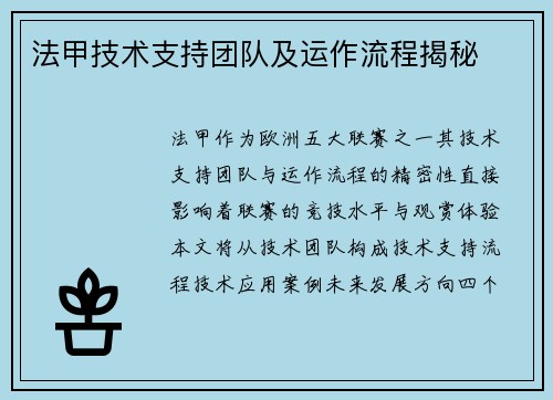 法甲技术支持团队及运作流程揭秘