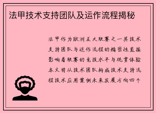 法甲技术支持团队及运作流程揭秘